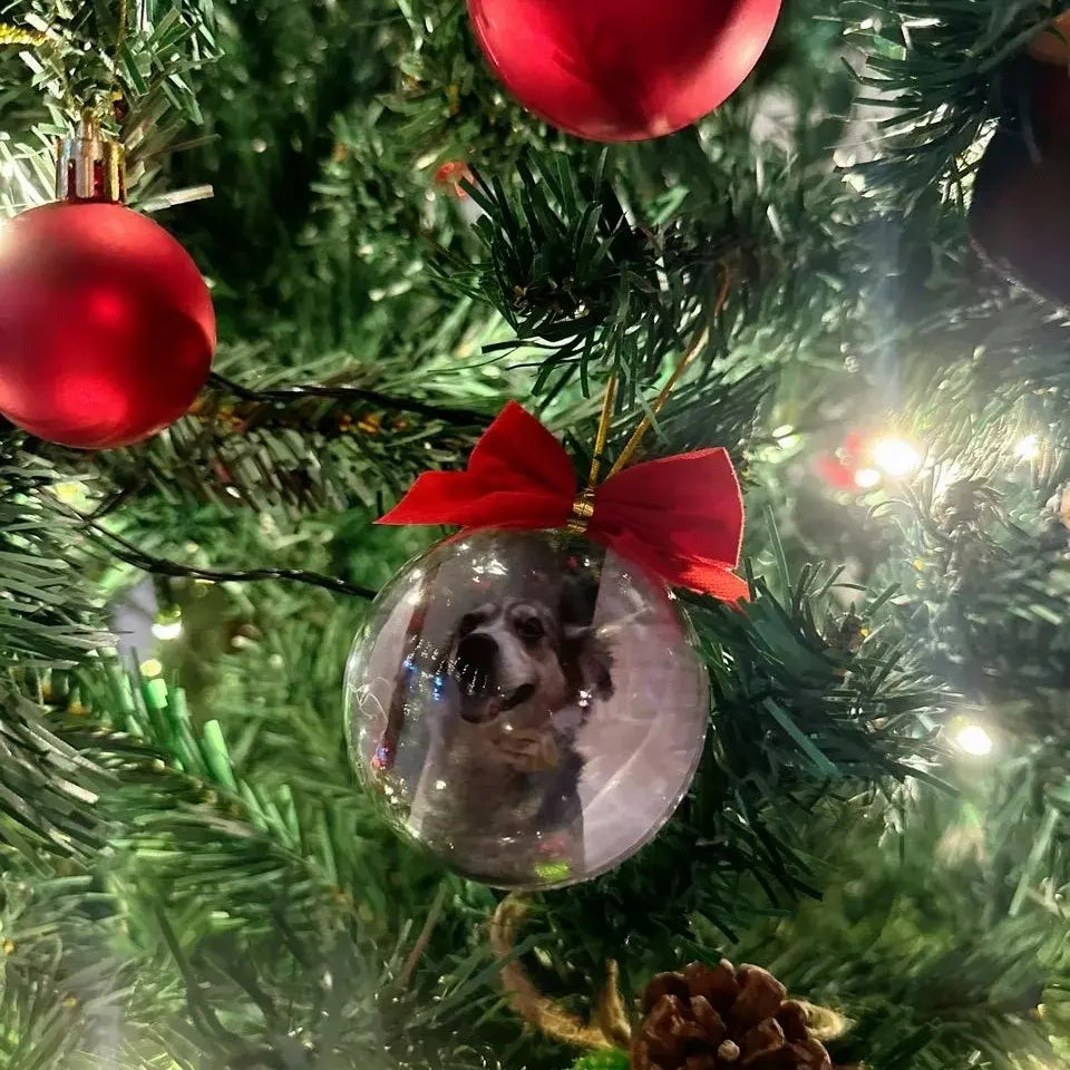 Bola de árvore de Natal personalizada transparente com foto de cachorro e laço vermelho pendurada na árvore.