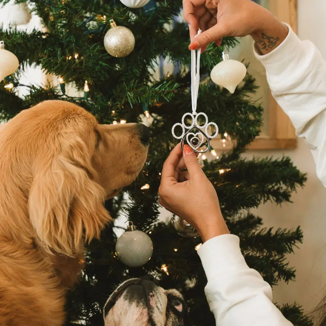 Enfeite de árvore de Natal em formato de pata de pet sendo segurado perto da árvore, com cachorro observando ao lado.
